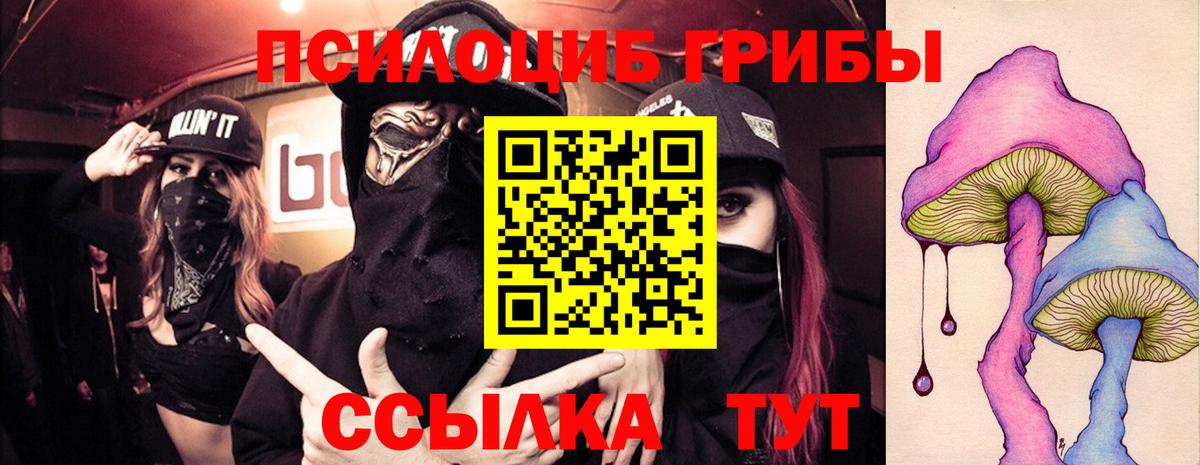 Галлюциногенные грибы прущие грибы  Галлюциногенные грибы Psilocybe  Волгоград  Вход с VPN 
