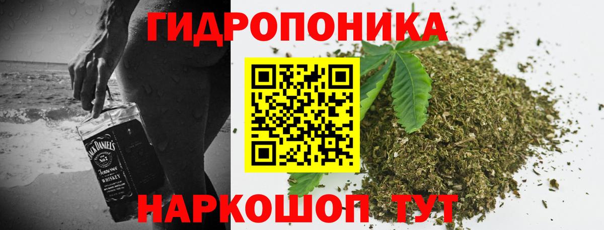 Шишки марихуана семена Волгоград